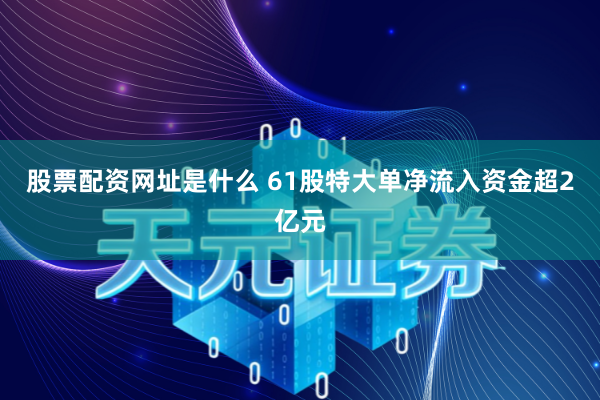 股票配资网址是什么 61股特大单净流入资金超2亿元