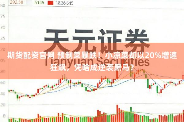 期货配资官网 预制菜暴跌！小凉菜却以20%增速狂飙，凭啥成逆袭黑马？