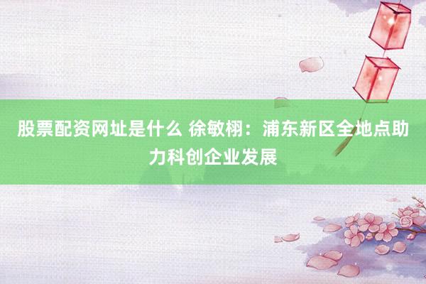 股票配资网址是什么 徐敏栩：浦东新区全地点助力科创企业发展