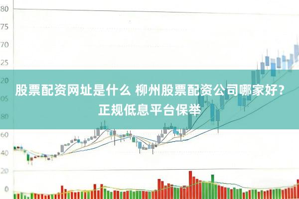 股票配资网址是什么 柳州股票配资公司哪家好？正规低息平台保举