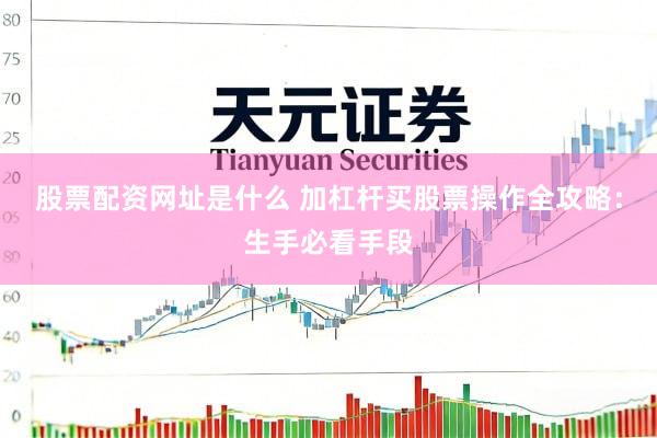 股票配资网址是什么 加杠杆买股票操作全攻略：生手必看手段