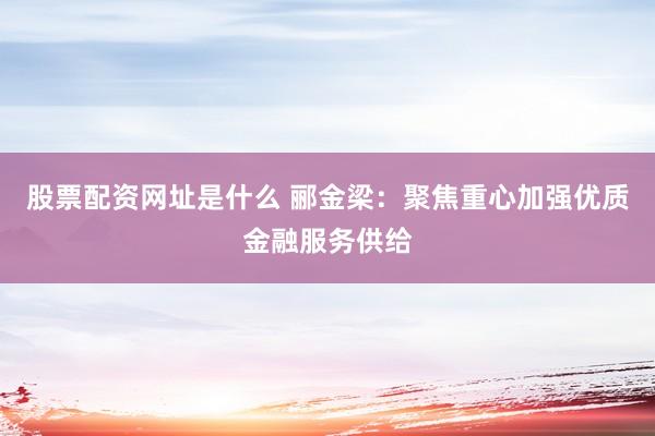 股票配资网址是什么 郦金梁:聚焦重心加强优质金融服务供给