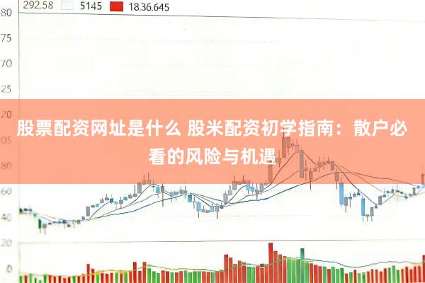 股票配资网址是什么 股米配资初学指南：散户必看的风险与机遇