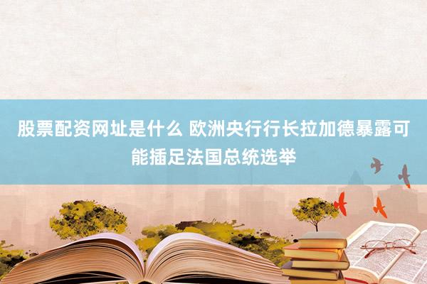 股票配资网址是什么 欧洲央行行长拉加德暴露可能插足法国总统选举