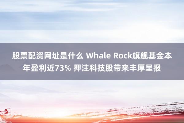 股票配资网址是什么 Whale Rock旗舰基金本年盈利近73% 押注科技股带来丰厚呈报