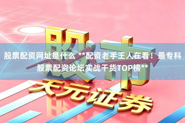 股票配资网址是什么 **配资老手王人在看！最专科股票配资论坛实战干货TOP榜**