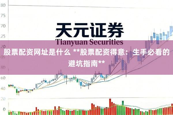 股票配资网址是什么 **股票配资得意：生手必看的避坑指南**