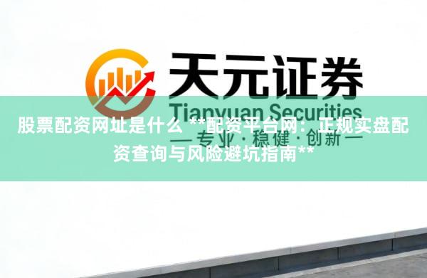 股票配资网址是什么 **配资平台网：正规实盘配资查询与风险避坑指南**